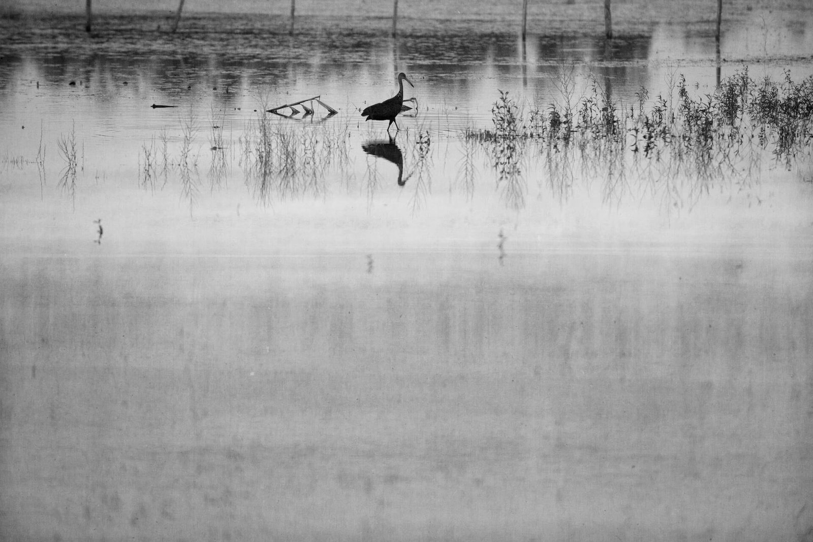 Según el Camino, fotografía híbrida de Alil (Alicia Cañete), 2026