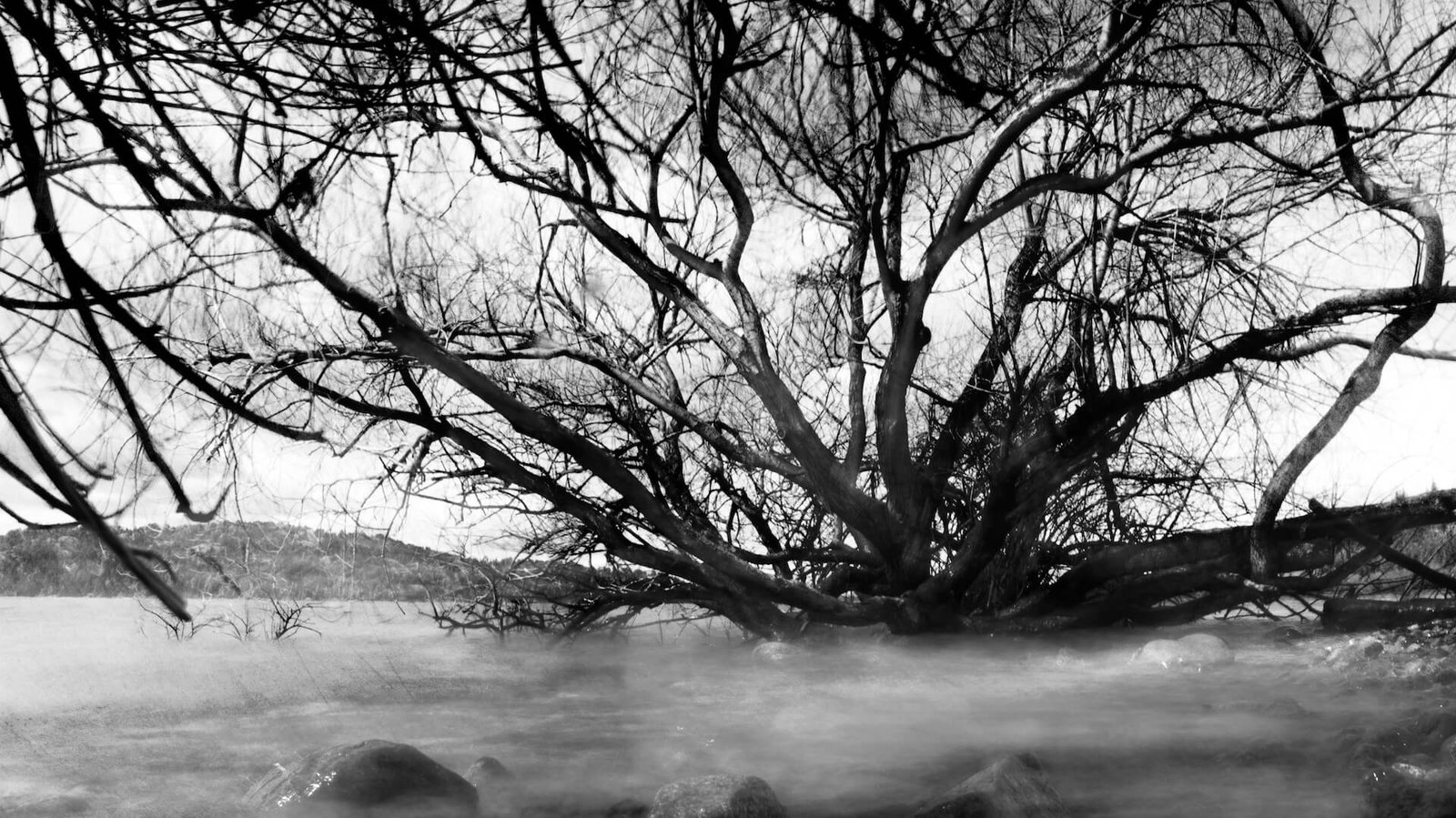Según la Marea, fotografía híbrida de Alil (Alicia Cañete), 2026