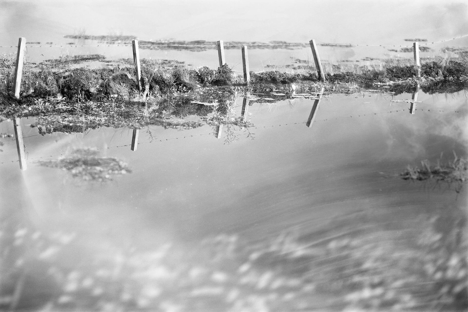 Serie Según Quien, fotografía híbrida de Alil (Alicia Cañete), 2025